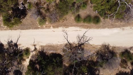 Aerial-View-Over-Walking-Trail-Running-Through-Bush,-Perth-Australia