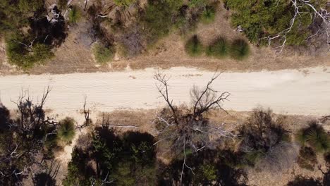 Luftaufnahme-über-Den-Wanderweg,-Der-Durch-Bush,-Perth,-Australien-Führt