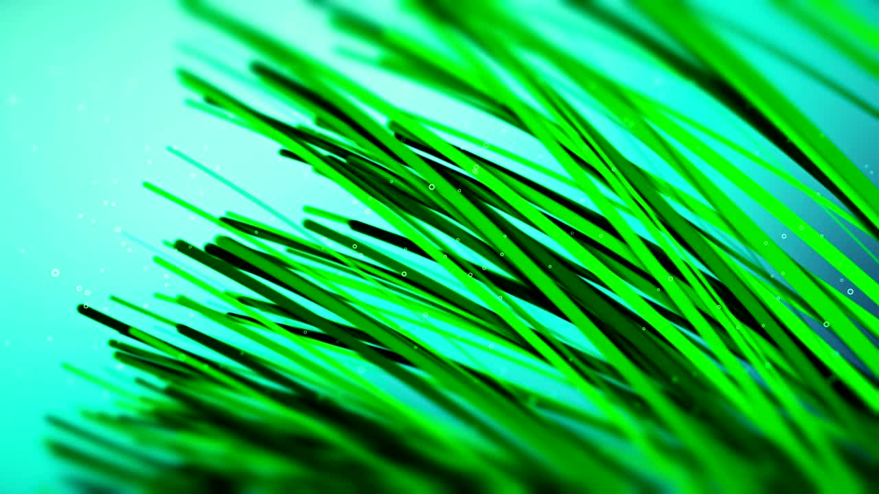 fondo marino y hierba marina video de fondo