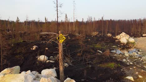 A-yellow-warning-sign-at-the-forest-aftermath-site