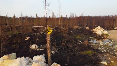 una señal de advertencia amarilla en el sitio de las secuelas forestales