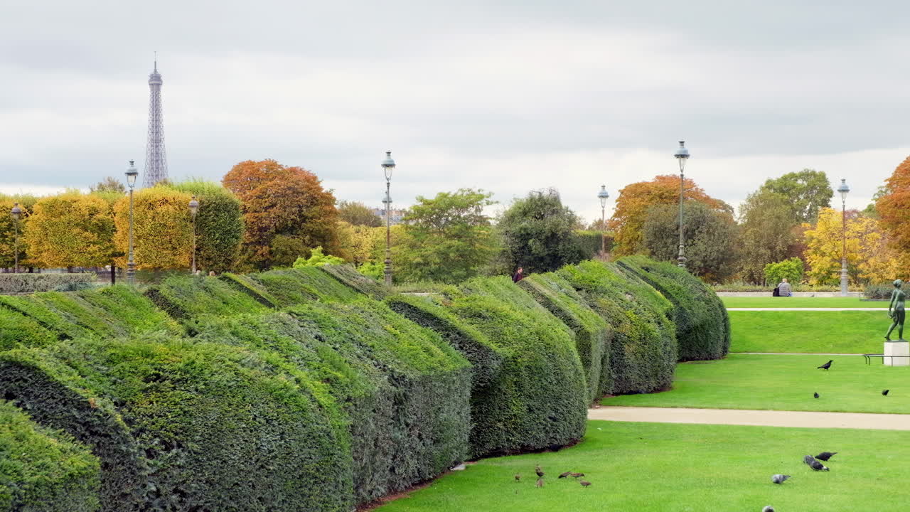 Distant view of the Eiffel Tower from the Tuileries Garden in the 1st arrondissement of Paris, France