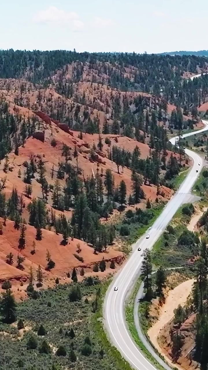 Una strada panoramica si snoda attraverso il paesaggio del Mojave con colline rosse e alberi.