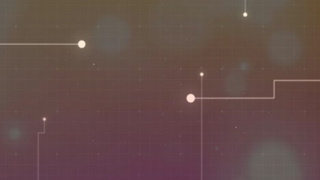 animatie van een netwerk van verbindingen via een digitaal scherm