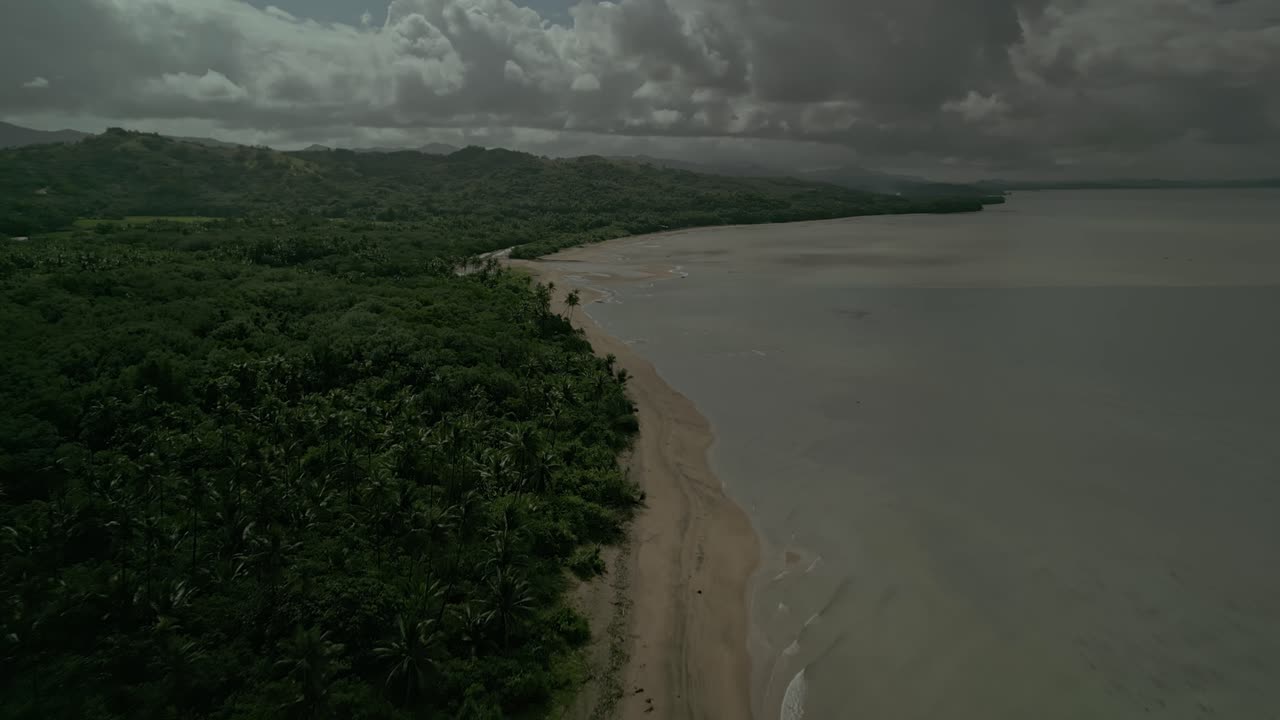 aérea a lo largo de la costa arenosa por bosques verdes y mar tranquilo, filipinas