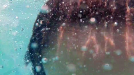 mooie vrouw onder water gaan en glimlachen naar de camera