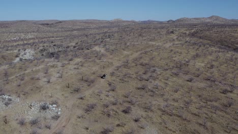 非洲納米比亞的埃托沙國家公園 (etosha national park)