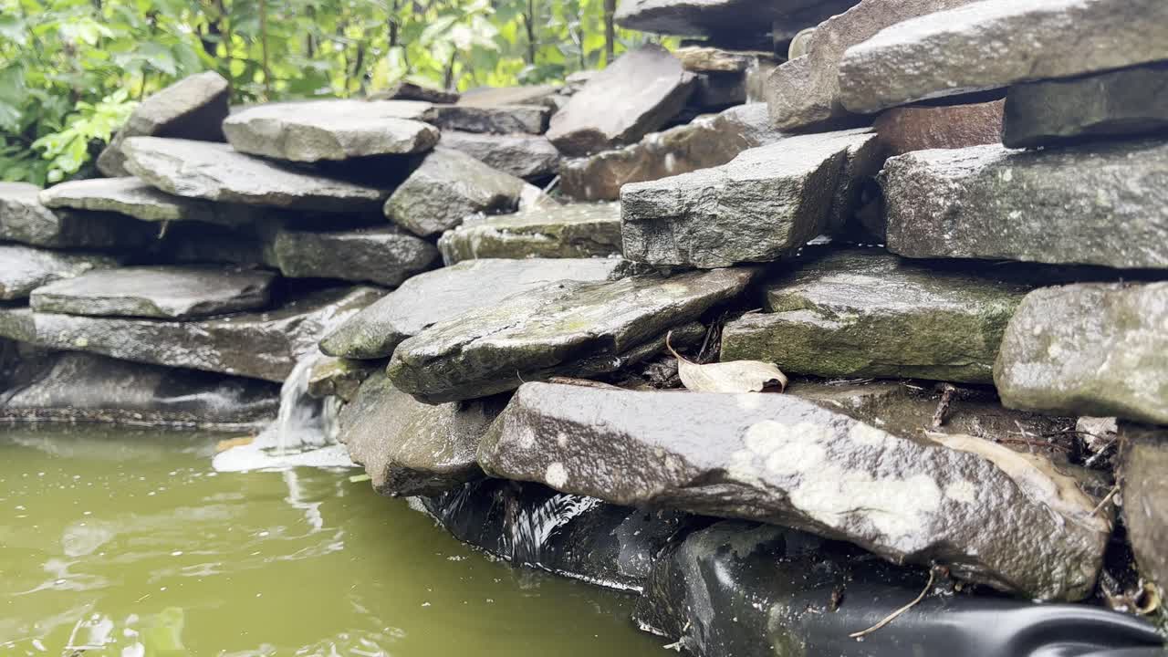 작은 뒤뜰 연못에 물이 빠지다