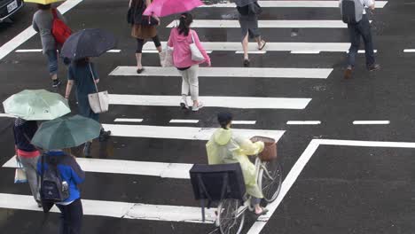 道路を横断する人々