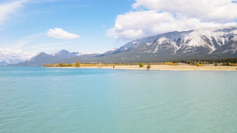 drone flying between trees over abraham lake