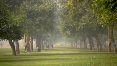 India-Gate-Garden-Voller-Bäume-Und-Natur