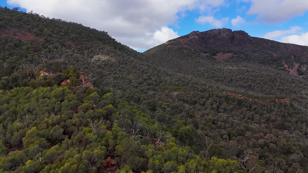 Drone glides above dense eucalyptus forest and rocky ridges in Warrumbungle National Park, Australia, under partly cloudy daylight, revealing expansive natural landscape