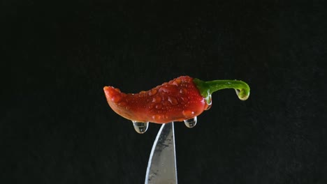 red chili pepper impaled on the tip of a knife and spray with a fine water spray