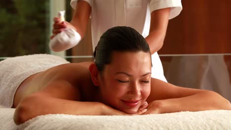 gorgeous woman getting a massage with herbal compresses