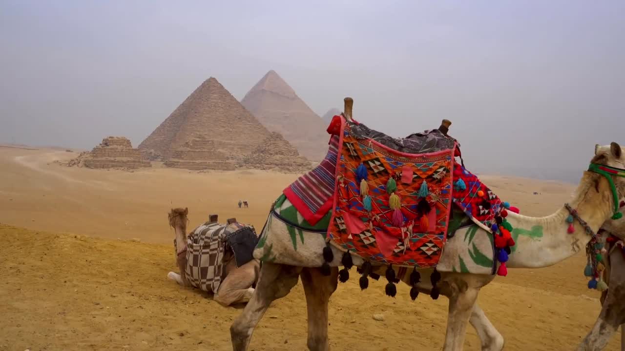 Cammelli che camminano nel deserto vicino alle Piramidi di Giza in Egitto, con selle decorate e cavalieri tradizionali visibili, iconici luoghi antichi, turismo culturale e paesaggio storico