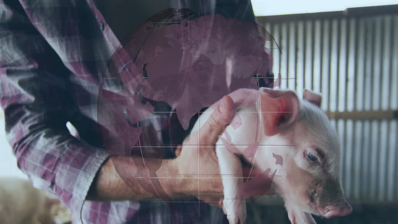 Holding piglet with world map overlay, person engaged in interactive learning
