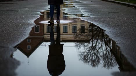 a solitary figure walks through a rain-soaked street, their reflection captured in the puddle below, creating a serene, artistic expression of urban life and solitude