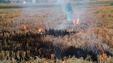 wide shot stubble burning or crop burning in the countryside