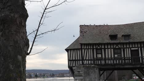 static view of creepy french building built above river, flock of pigeons