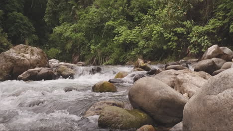 streaming river jungle sumatra indonesia