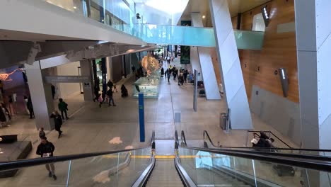 visitantes caminando dentro del museo de melbourne cerca del esqueleto de dinosaurio