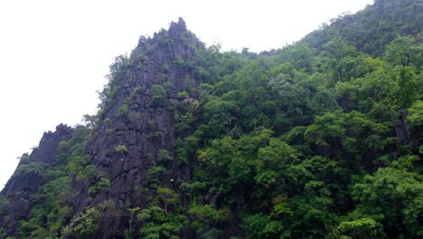 vista panorámica de una isla tropical escarpada y remota cubierta de árboles verdes en palawan, filipinas, sudeste asiático