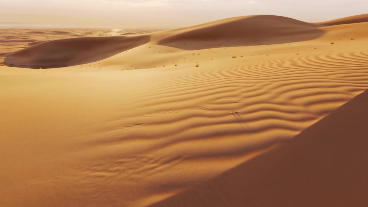 Una calda scena desertica mostra sabbia liscia e increspata, forme di dune fluide, ombre morbide e una luce dorata e velata che si estende sull'orizzonte aperto. Un punto di vista basso e ampio crea profondità, un'atmosfera calma e un senso di viaggio spazioso.