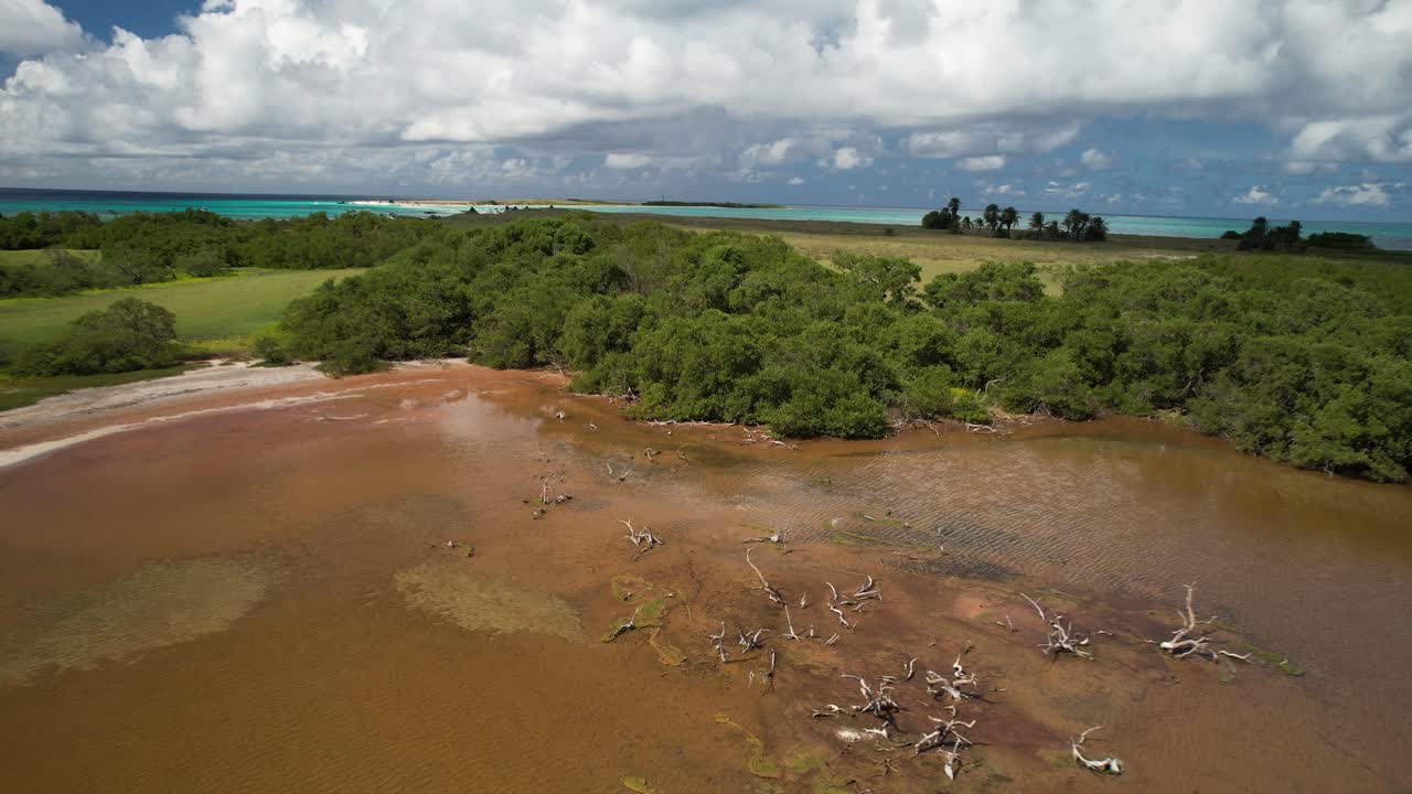madera seca a la deriva esparcida en aguas poco profundas en el parque nacional de los rocas, vista aérea