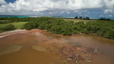 Dry-driftwood-scattered-in-shallow-waters-at-los-roques-national-park,-aerial-view