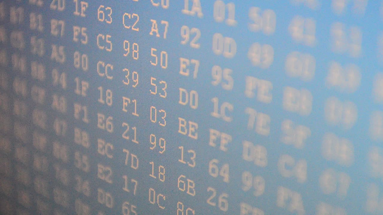 Shooting of the binary. Table of the binary. Hexadecimal program code on screen. Animated background of moving binary code numbers
