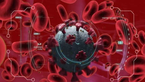 animación del procesamiento de datos sobre virus y células sanguíneas