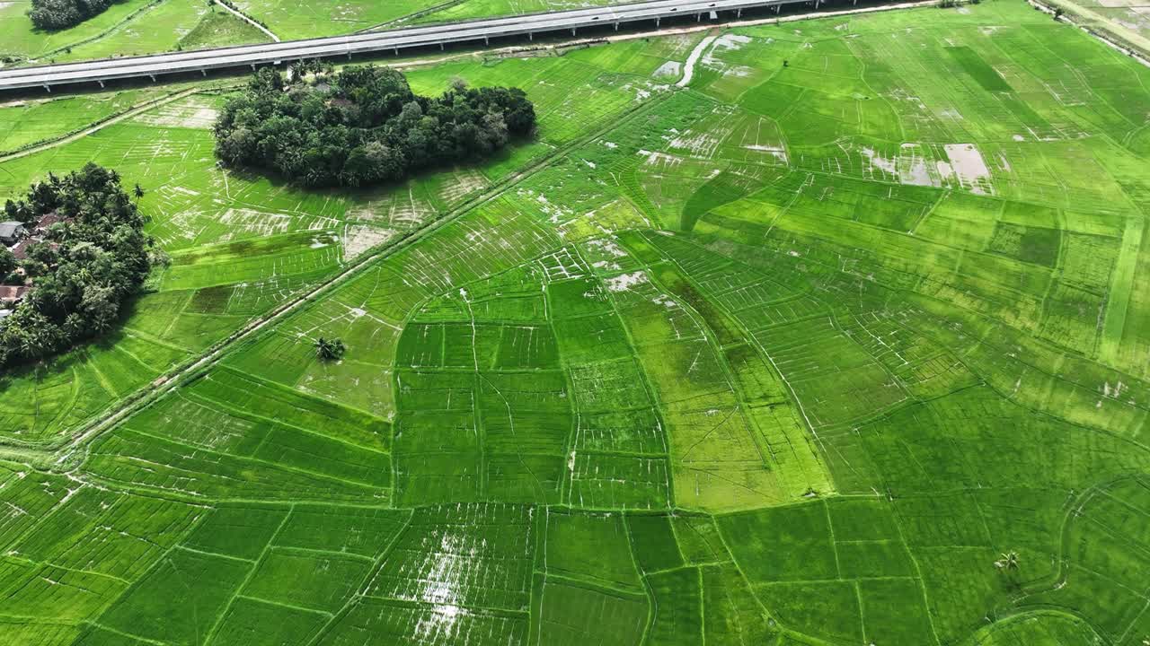 Get mesmerized by the breathtaking synergy of Sri Lanka's lush paddy fields and modern expressways in this captivating aerial footage