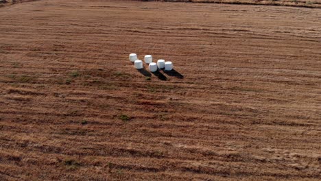 Weiße,-In-Plastik-Eingewickelte-Heuballen-Auf-Einem-Sonnigen-Feld