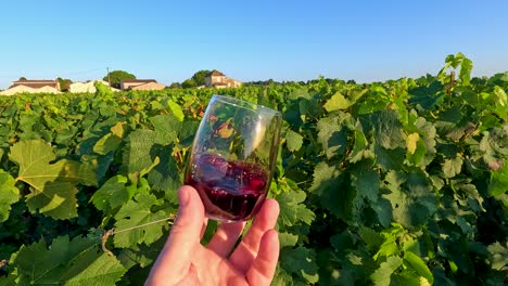 swirling wine glass amidst lush vineyard scenery