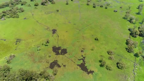 Drone-capture-the-green-rain-forest-of-the-Amazonas-and-the-river-Amazon-River-located-in-Brazil