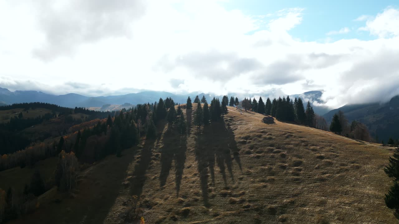 Amfiteatrul Transilvania, Moieciu de Sus, Brașov County, Rumänien – Solen kastar långa trädskuggor över en gyllene sluttning inramad av dimmiga bergstoppar – Drönarvy från luften