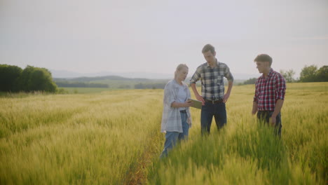 farmers discussing a tablet in a wheat field