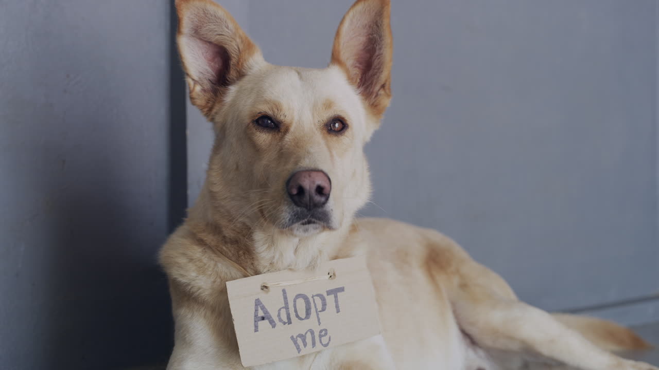 I've been here the longest...