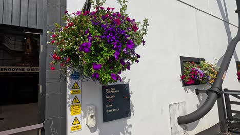 entrance with hanging flowers and warning signs