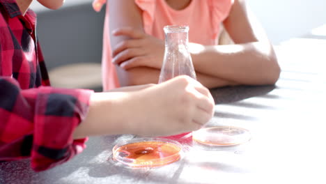 in a school classroom setting, a young biracial student is conducting a science experiment