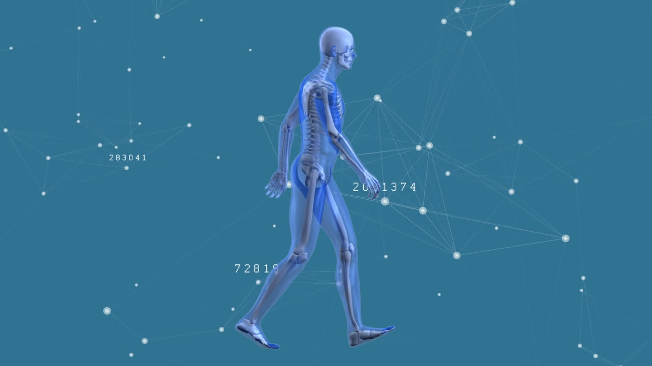 디지털 인간을 통한 숫자와의 연결 네트워크의 애니메이션