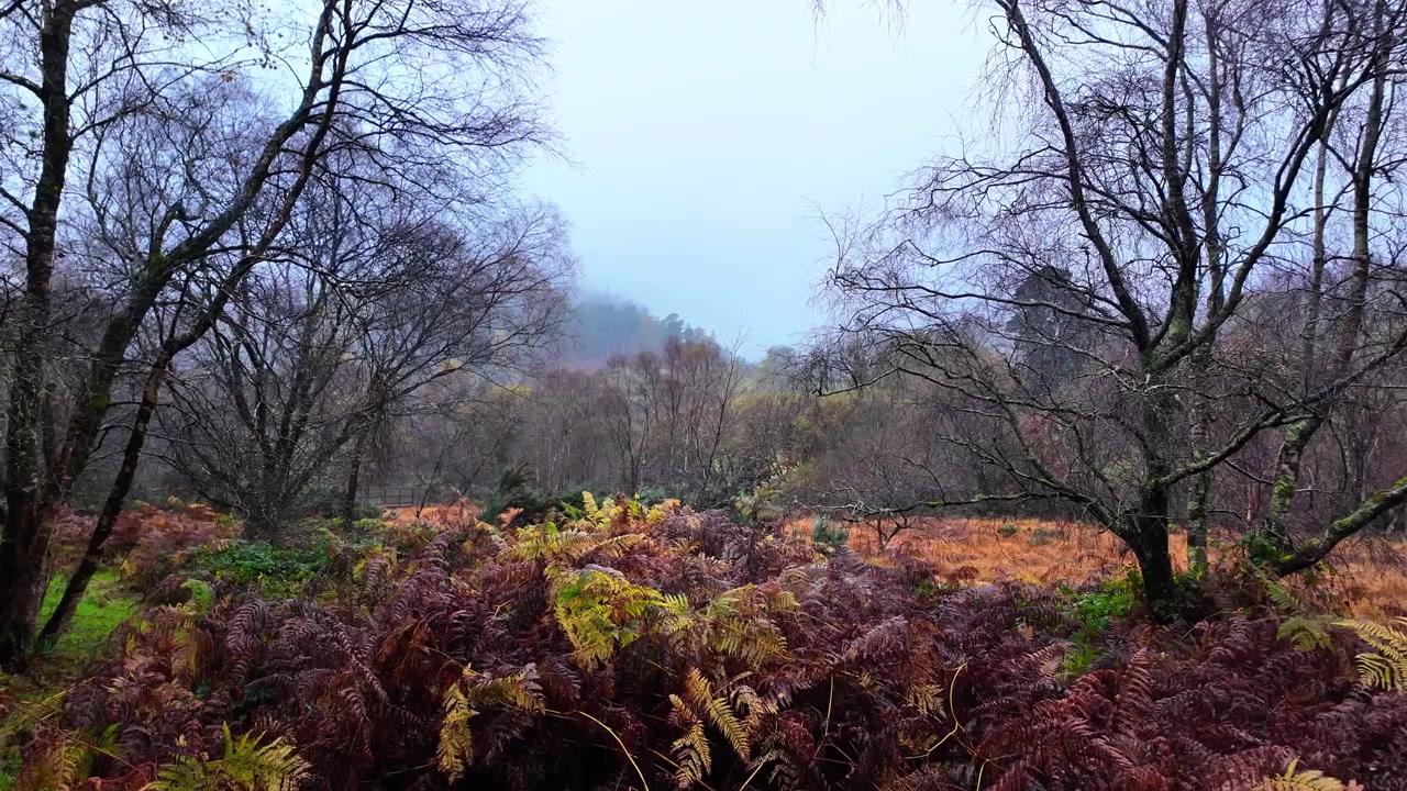 Irlanda, luoghi epici, Wicklow, Glendalough, paesaggio invernale mistico, Irlanda magica.
