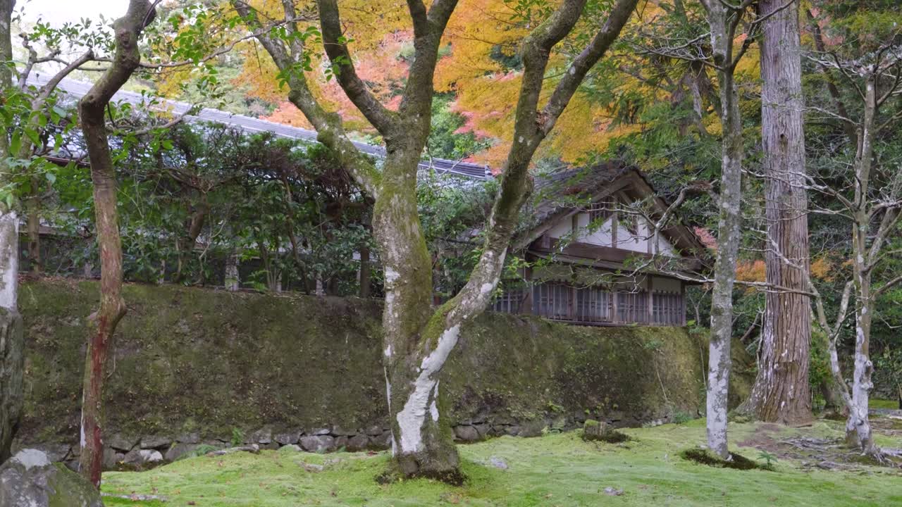 un paisaje increíble en los terrenos de los templos japoneses, una lenta inclinación cinematográfica hacia arriba