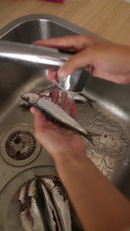 washing fish in kitchen sink