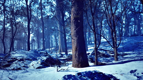winter landscape with snow covered forest and icy stone formations