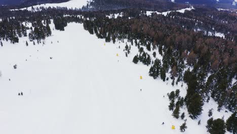 aerial orbiting shot of snowy slope with a few skier skiing downhill the mountains surrounded by fir trees