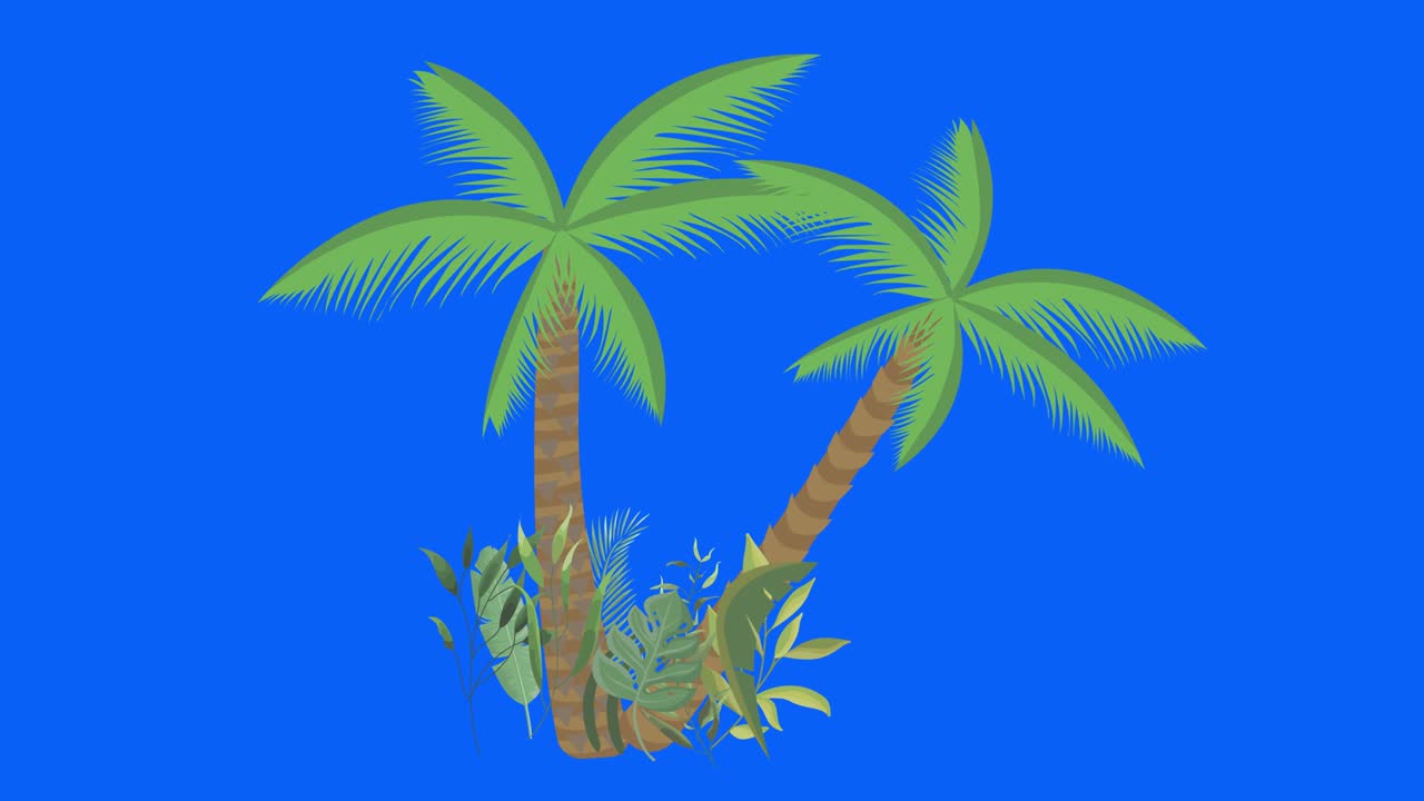바람에 의해 움직이는 종려나무, 크로마 키, 원활한 루프 애니메이션