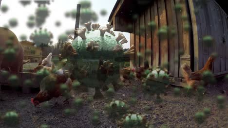 células de covid-19 contra gallinas y cerdos que comen en una granja