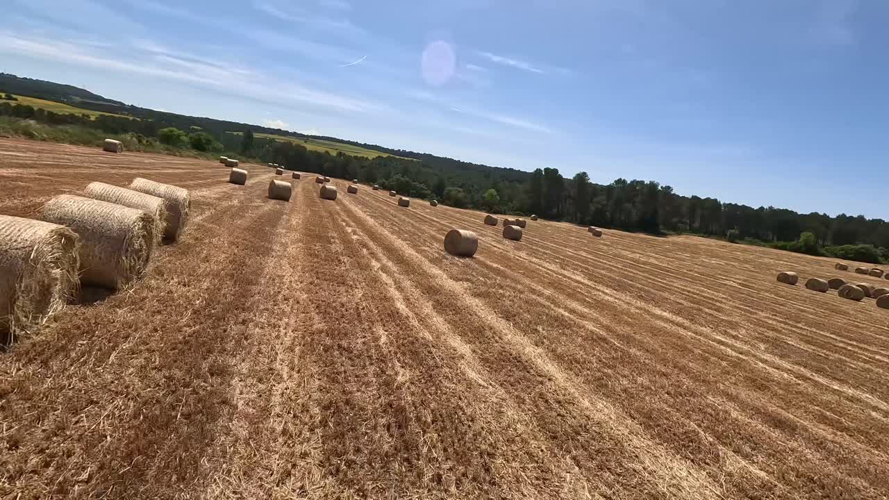 A smooth FPV drone video captures an expansive harvested cereal field, with round hay bales stacked on a trailer under a vast blue sky, surrounded by a lush forested area in the distance.