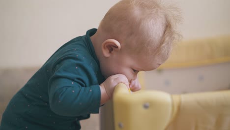 boy nibbles soft edge of yellow play pen in children room